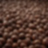 Close-up of espresso beans showcasing their rich texture and color