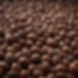 Close-up of espresso beans showcasing their rich texture and color