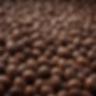 The Essence of Espresso Beans Close-up of espresso beans showcasing their rich texture and color