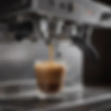 Understanding Espresso Machine Care A well-maintained espresso machine reflecting its robust design and features