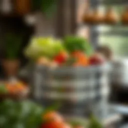 Elegant top floor steamer with fresh vegetables and herbs