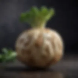 Celeriac root showcasing its unique texture and shape