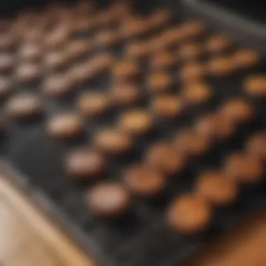Effortless Maintenance of Charcoal Grill Mats Clean charcoal grill mat after grilling, highlighting easy maintenance