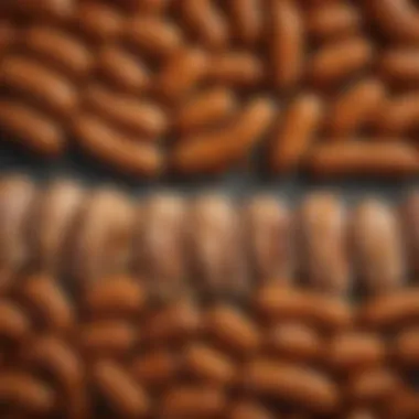Nutritional breakdown of chicken sausage
