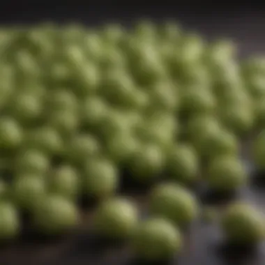 Evaluating the Aroma Profile of Hops Brewers evaluating hop aroma