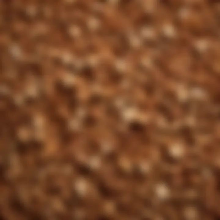 Close-up of wood chips used in an upright gas smoker