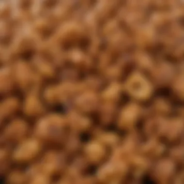 Close-up of the glossy caramel coating on zebra caramel corn